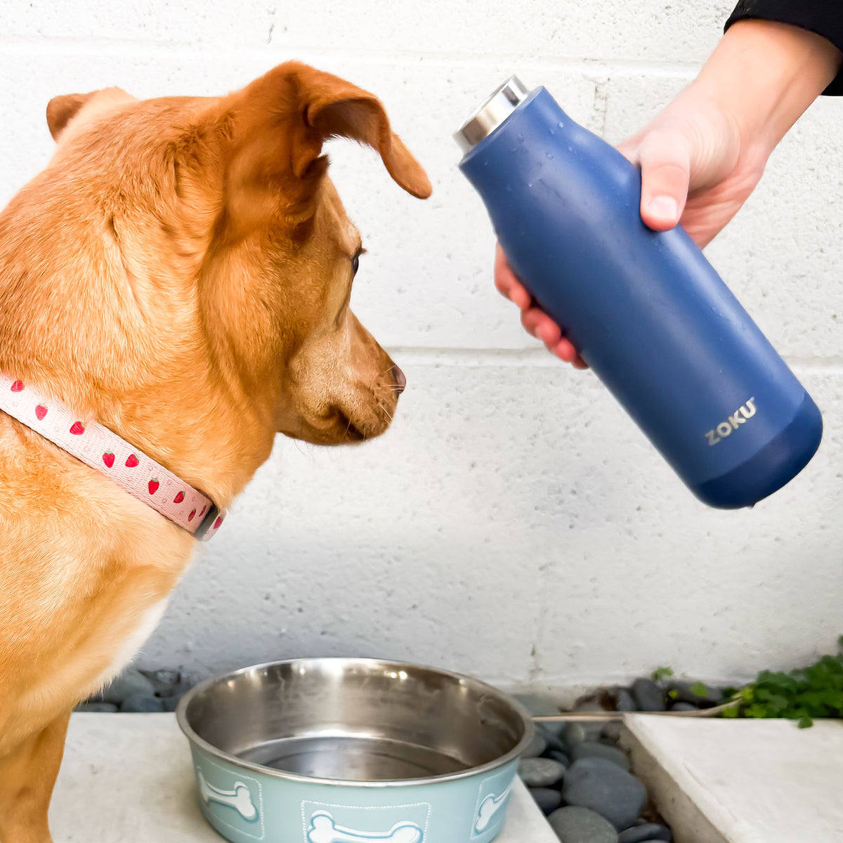 25oz Stainless Steel Bottle - Navy