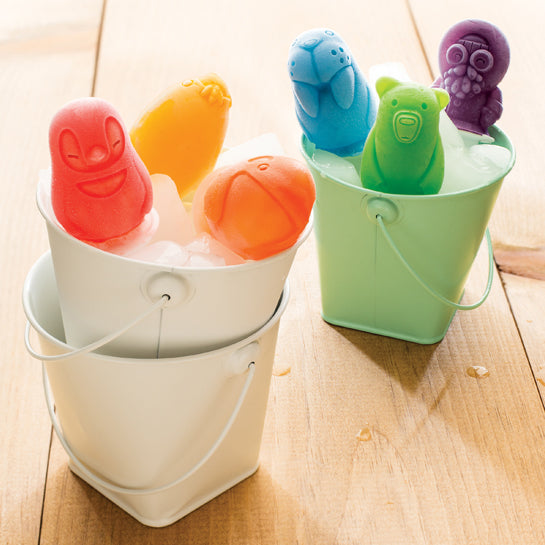 Polar Pop Molds