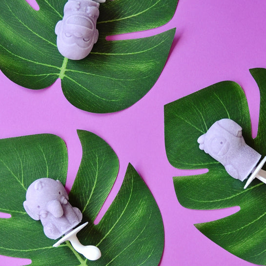 Safari Pop Molds