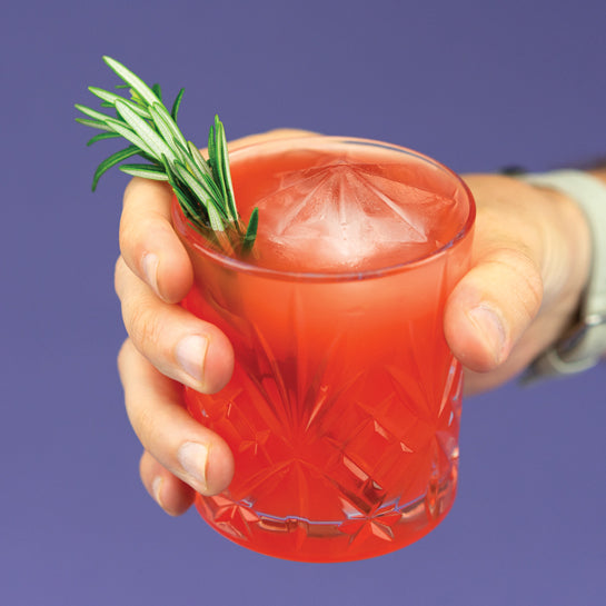 Iceberg Ice Mold Zoku ZOKU