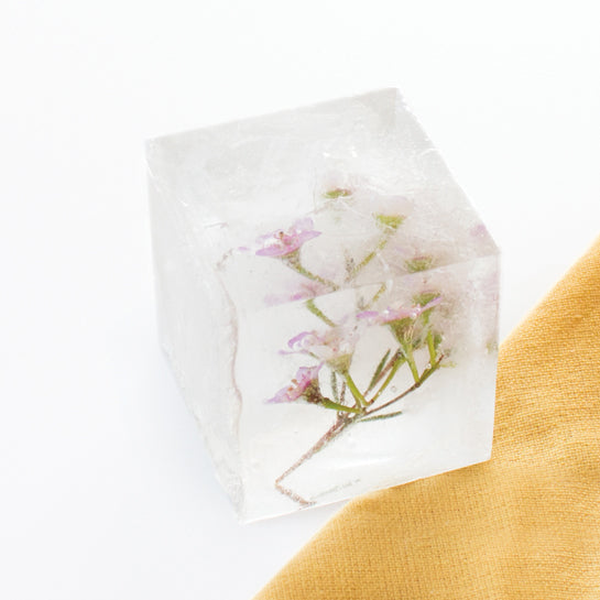 Cube Ice Molds