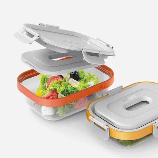 Food Container With Removable Dividers – staiy.