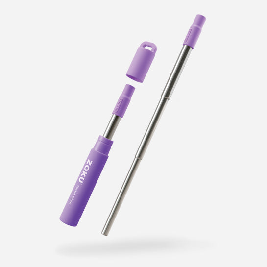 Two Tone Pocket Straws - Set of 3