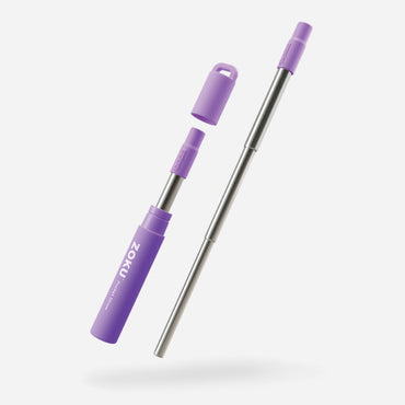 Two Tone Pocket Straws - Set of 3